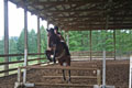 Gunny and Amelia thumbnail